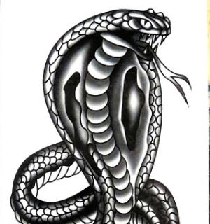 Tatouage temporaire cobra