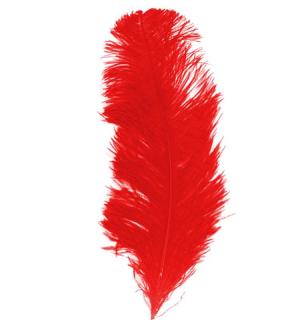 Plume queue d'autruche rouge 28/32cm