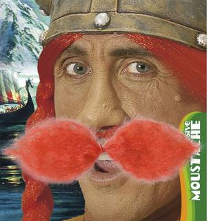 Moustaches gros gaulois roux