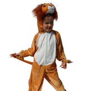 Lion 7/9 ans