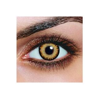 Lentilles couleur Brun