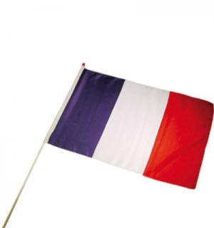Drapeau France 30X45 cm