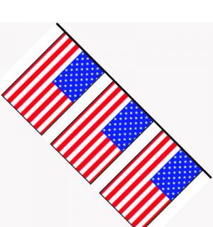Guirlande plastique usa 10m 20 pavillons