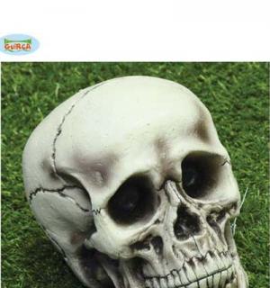 Crâne tête de mort 15x21 cm