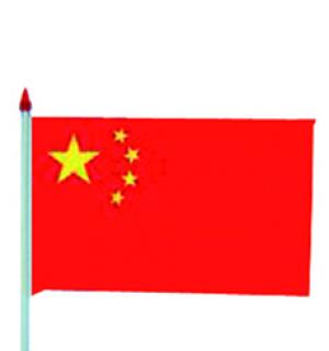 10 Drapeaux chine plastique