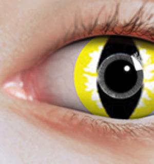 Paire de lentilles cosmétiques YELLOW CAT 3 mois
