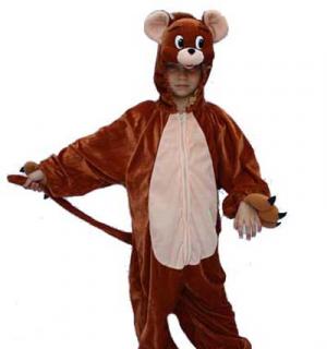 Souris brune 2/3 ans
