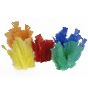 100 Plumes couleurs assorties de 10cm