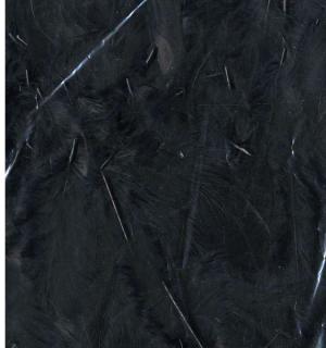 Sachet de plumes noires 10 grammes