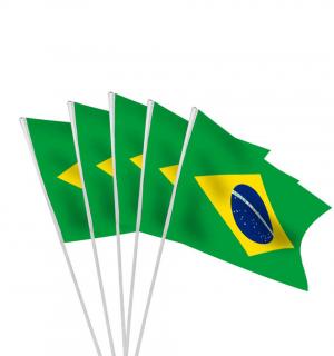 10 Drapeaux brésil 9,5x16cm
