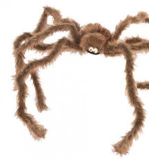 Araignée brune géante 190cm
