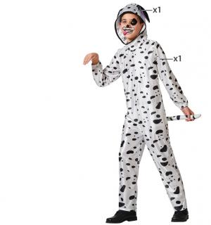 Chien dalmatien 5/6 ans