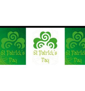 Guirlande PVC 5m 10 pavillons Saint Patrick