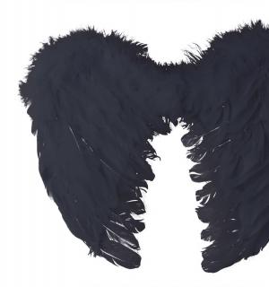 Ailes de démon plumes noires 40x32cm