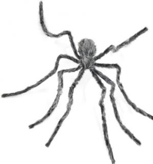 Araignée grise poilue géante 230cm