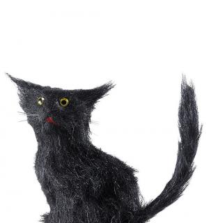 Chat noir