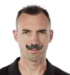 Moustaches grise