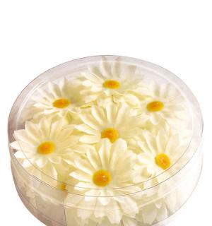 Marguerites de decoration blanches
