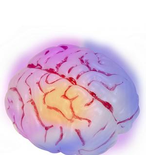 Cerveau lumineux
