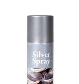 Bombe de peinture argent 150ml