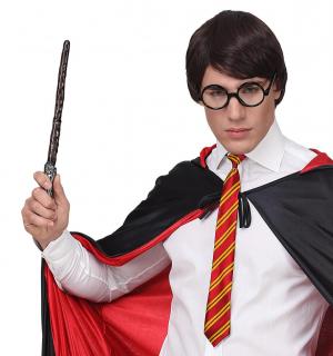 Set sorcier cravate, lunettes et baguette