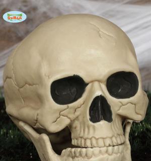 Tete de mort 20 cm