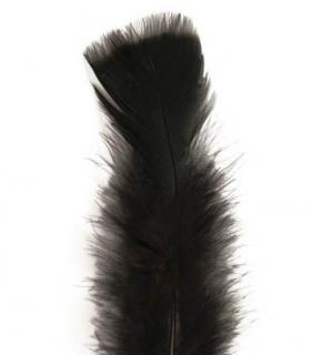100 Plumes noires de 10 cm