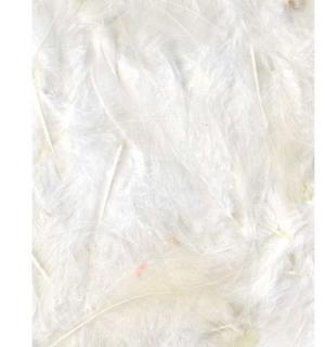 Sachet de plumes blanches 10 grammes