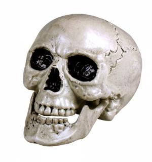 Crâne tête de mort 24 cm