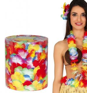 Boite de 25 colliers hawai
