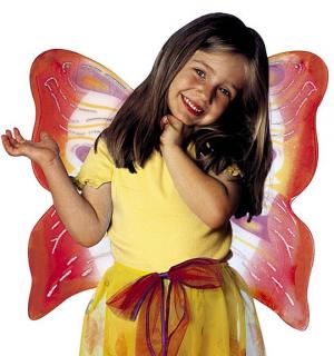 Set enfant papillon