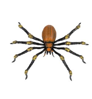 Araignée mortelle 21cm