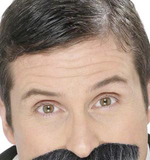 Moustaches grise