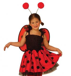 Costume coccinelle 4/5 ans