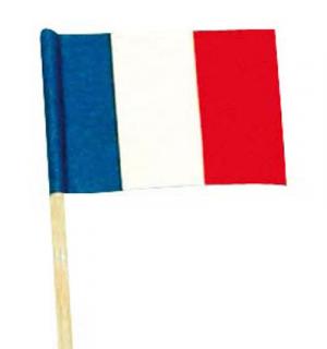50 Mini drapeaux france