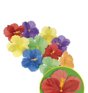 24 fleurs d hibiscus