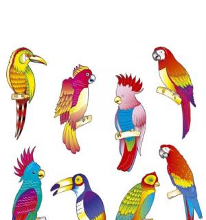 8 decos oiseaux tropicaux