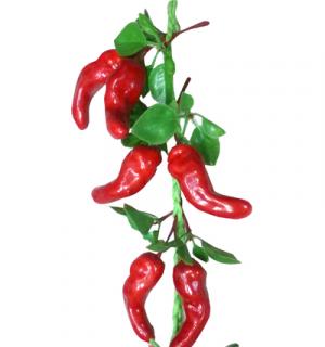 Tresse piments