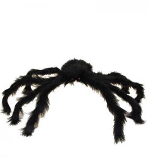 Araignée noire 90 cm