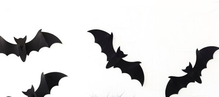 Chauve-souris