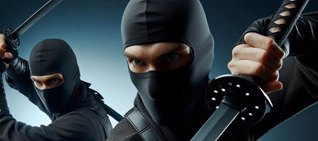 Ninja